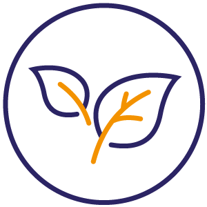 Ensure Top Quality and Environmental Care